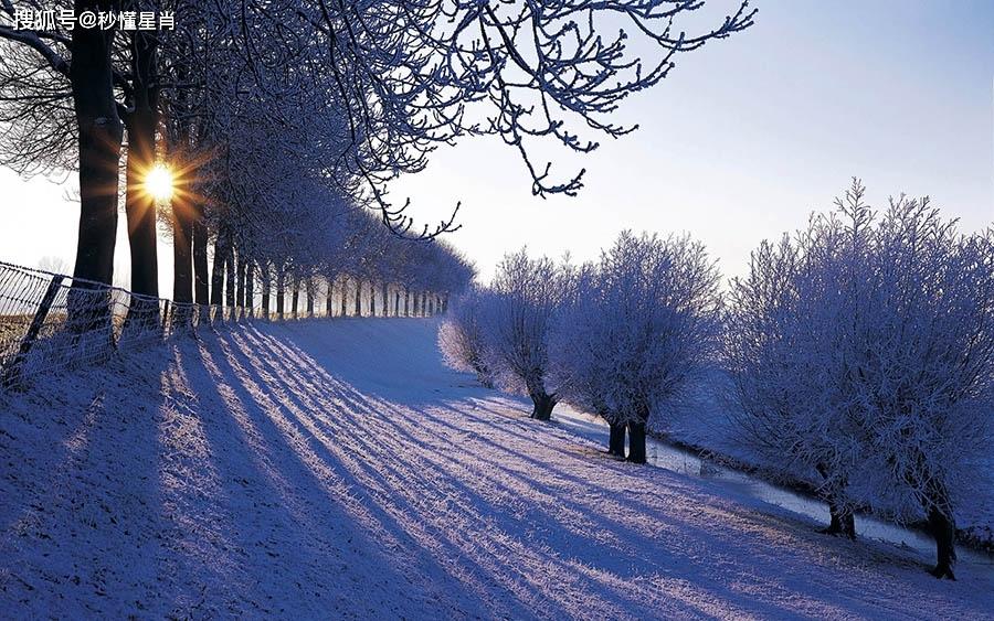 突冬白雪满天飞，喜兆丰年家富裕  打一精准生肖，实证解答解释落实_j1b56.07.87